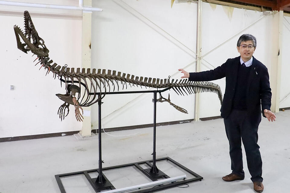真鍋真センター長と恐竜博2019で展示されるモササウルスの全身復元骨格模型