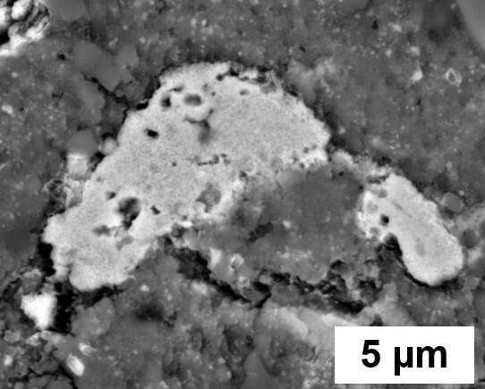 2016年撮影隕石中から発見された、原始太陽系星雲の始原水の痕跡を残す物質（写真提供：圦本教授）