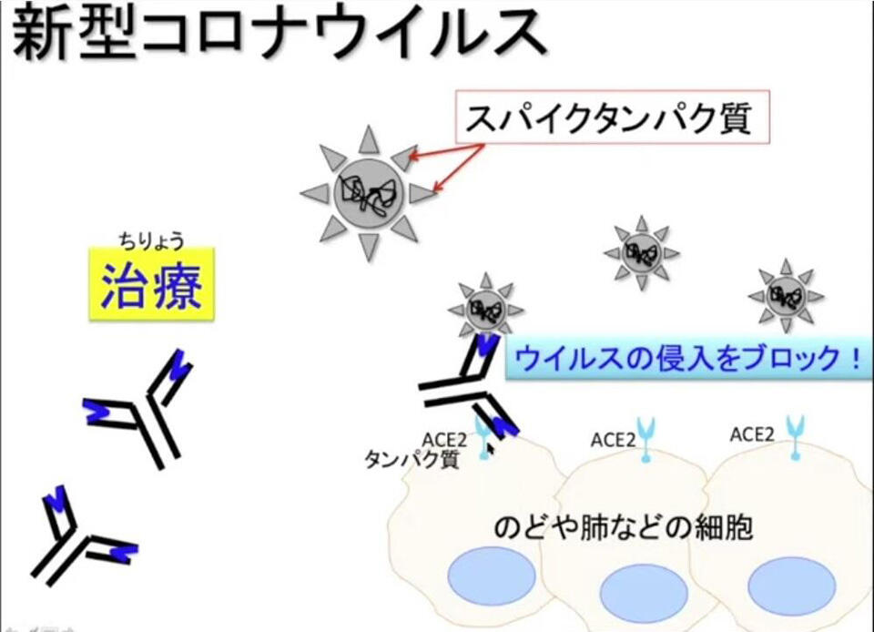 高岡教授 発表資料より