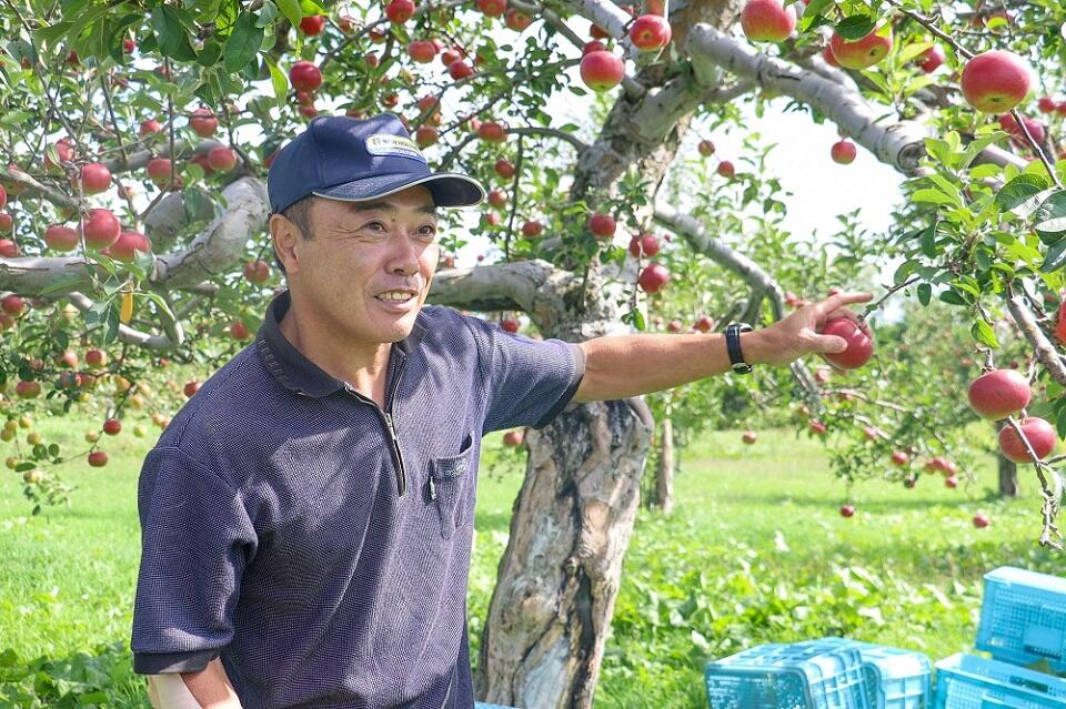 リンゴの収穫方法について説明する、生田技術専門職員