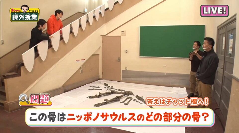小林研究室の学生（理学院 修士1年 高田健太郎さん）も出演し、ニッポノサウルスの化石からクイズを出題（番組の一場面：(C) NEP）