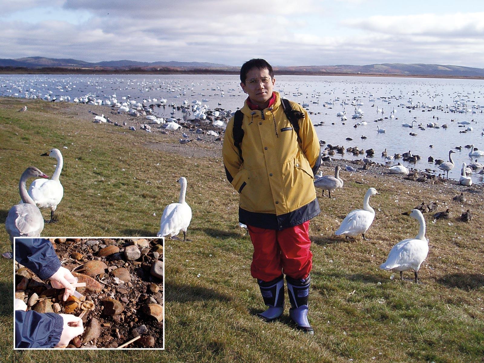 北海道最北端の稚内市で、シベリアから飛来したカモや白鳥のフンを集め、調査を行う迫田教授