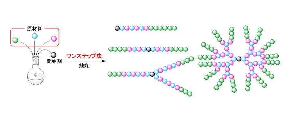 ワンステップ法は数種類の高分子合成反応を制御する必要があるので、意図通りの分子配列を作るのが難しい。「簡単な制御はできるようになり、徐々にその精度は上がっています」（佐藤教授）