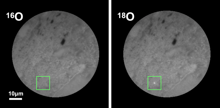 同位体顕微鏡で撮影した隕石の同位体分布。右側の画像に明るい輝点としてプレソーラー粒子が写っている（圦本研究室提供）