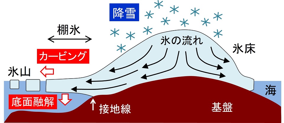 海に流れ込む場所で氷の流れが加速するメカニズム。陸地に沿って氷河・氷床が流れ、海に到達すると、氷の底面は浮力によって陸から離れて海に浮く。陸地との摩擦がなくなることで、氷の流れが加速する。また、海水は大気より温度が高いため、氷の底面の融解が進む。薄くなった氷河は、末端部分で崩れ、氷山となって流出していく。氷河・氷床の流出を抑えていた末端が無くなると、さらに氷河は海に向かって流れ出す