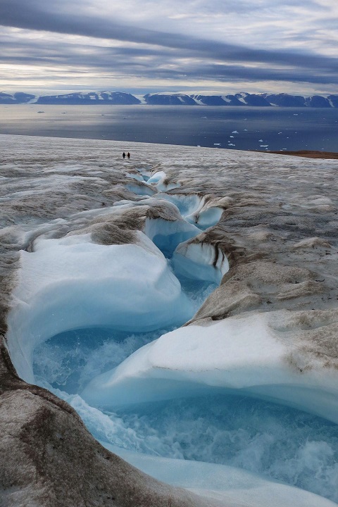 バクテリアや藻類の影響で表面が黒くなったグリーンランドの氷河(2014年撮影、提供:杉山慎 教授)