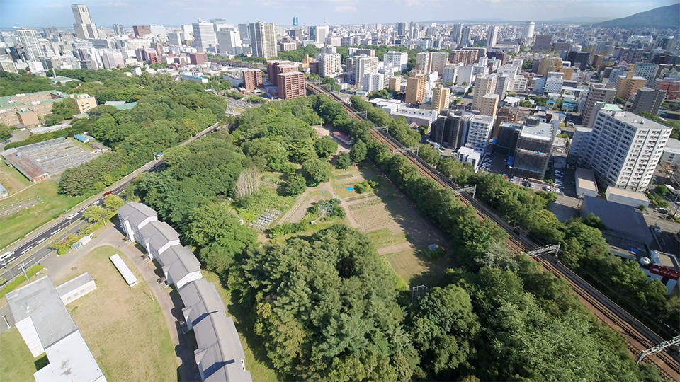 手前が札幌研究林の実験苗畑。公道を挟んで奥に見えるのが北海道大学 札幌キャンパス（撮影：山本 由紀夫（エンターリム））