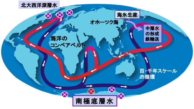 海水の沈み込みは、北大西洋と、多量に海氷が生成される南極沿岸で起こり、地球規模の海の大循環を引き起こしている。（NOAA/NASAによる資料を改変）