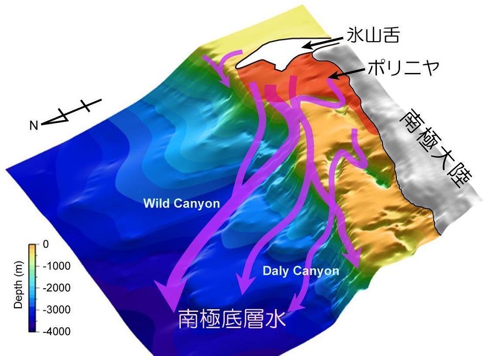 南極大陸ケープダンレー沖で海氷形成に伴い南極底層水が形成される仕組み。南極大陸から張り出す氷山舌の下流に、多量に海氷が形成される海域(ポリニヤ)がつくられる。この海氷形成によって重い水がつくられ、沈み込んで南極底層水を形成する。