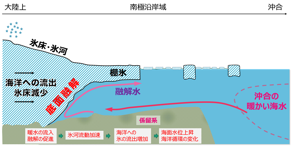 沖側から続く深い谷を通して棚氷の下に温かい海水が流れ込み、棚氷の融解を加速していることがわかった。