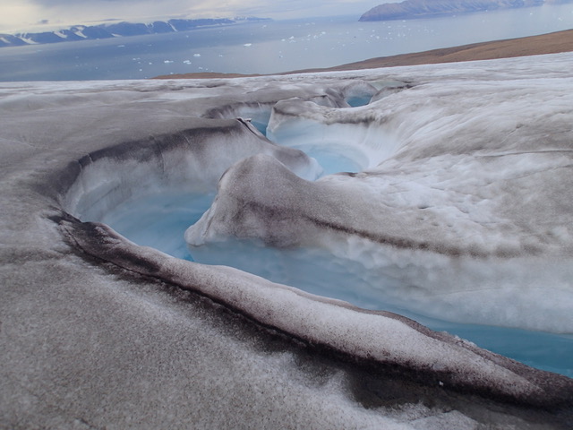 雪の表面が黒ずんだグリーンランドの氷河（提供：植竹 淳 准教授）