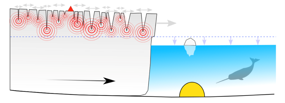 氷河の先端近くに設置された海底地震計（OBS、黄色）は、氷河の動きによって生じた海底の振動からクジラの鳴き声まで、海中のあらゆる音を検知する（Podolskiy et al., Nature Communications, 2021より改変）