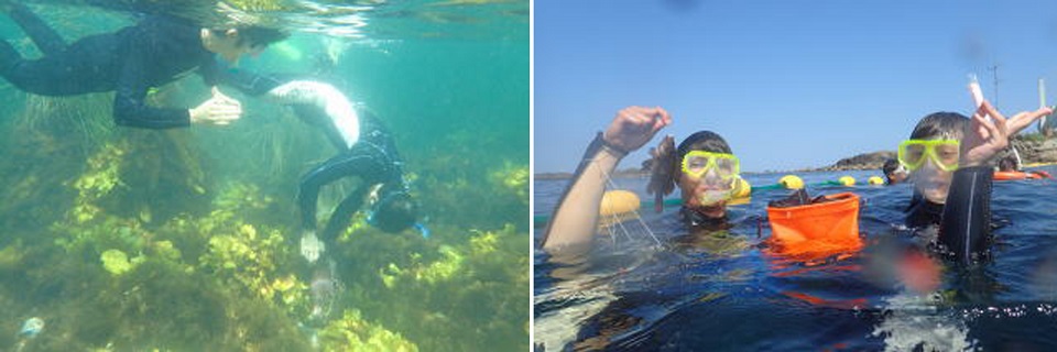 水産学部海洋生物科学科3年生の水圏生物科学実習の様子（月刊うすじり136号より）