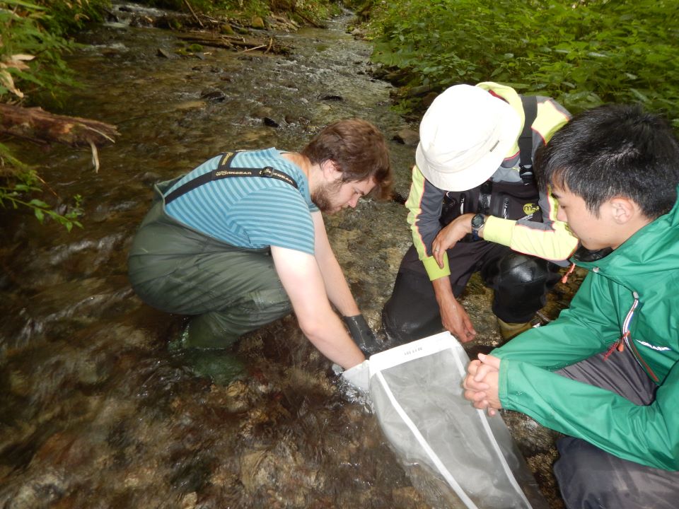 北海道の小さな源流域で川底に棲む無脊椎動物を採取する様子（撮影：石山 信雄）