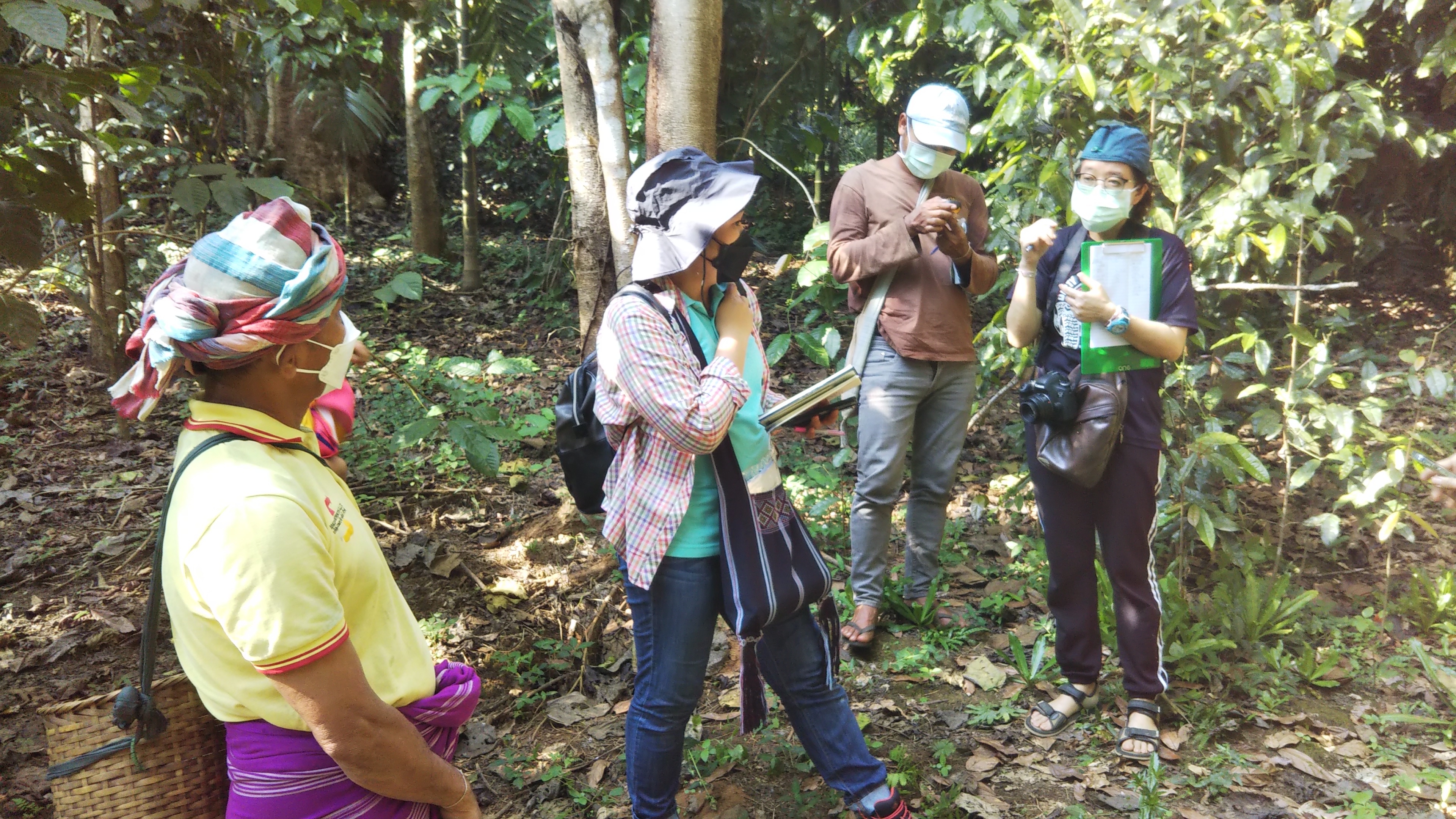 RISEプロジェクトの一環として、研究者と地元カレン族の協力者たちが伝統的な食物について議論し、フィールドデータを収集する様子。タイ、トゥンヤイ・ナレスアン野生生物保護区、コー・サデン村にて（撮影：ホルヘ・ガルーシア・モリノス 准教授）