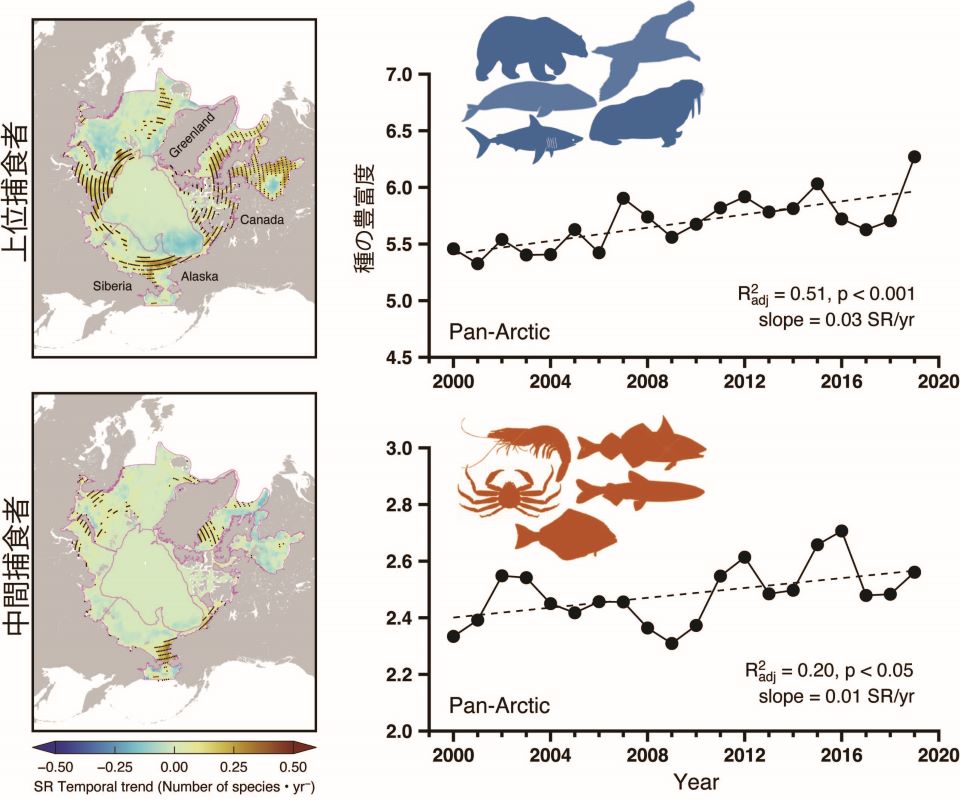 北極海域における2000～2019年の生物多様性の変化。上段は食物連の上位にある26種、下段は中間捕食者43種を示している。地図上の点は生物種が増加した地域を示す