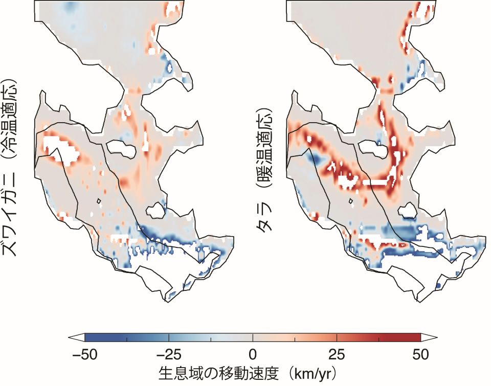 1993年から2016年までの東ペーリング海における冷温適応種（ズワイガニ）と暖温適応種（タラ）の生息域の移動速度