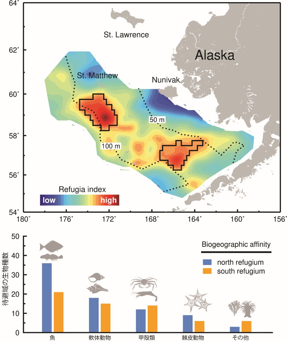 1990年から2018年まで東ベーリング海で見つかった2つの待避域（黒の実践で囲まれた部分）には、159種の魚と無脊椎動物が生息している。下のグラフはそれぞれの待避域に生息する生物群集の種類を示す
  