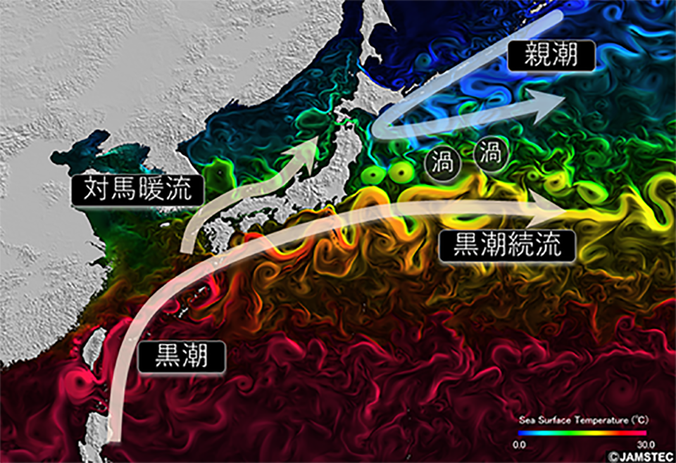 日本近海で黒潮（暖流）と親潮（寒流）がぶつかる様子。ここで海洋と大気の間で活発な熱と水のやりとりがある（提供： JAMSTEC）