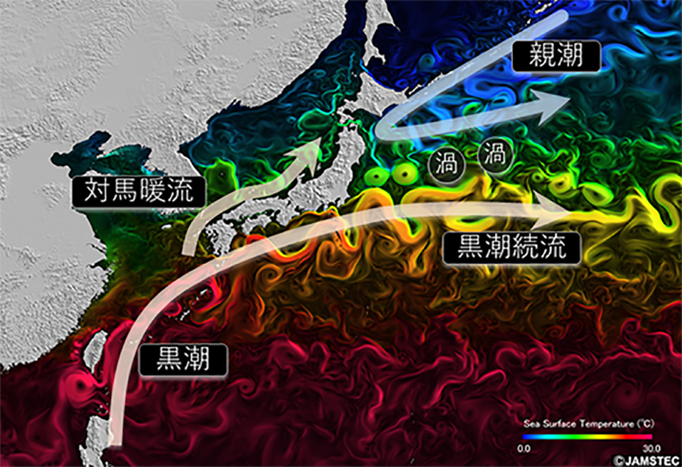 日本近海で黒潮(暖流)と親潮(寒流)がぶつかる様子。ここで海洋と大気の間で活発な熱と水のやりとりがある(提供: JAMSTEC)