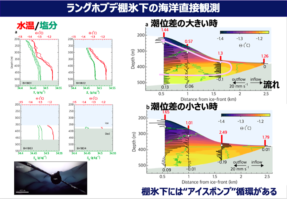 氷河ポンプと呼ばれる棚氷の下で起こる海水循環の塩分濃度と温度を表した図（提供：青木 准教授）
  