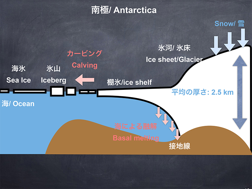 氷といっても、さまざまな名称がある。写真奥の山のように見える部分を「氷床」、斜面を「氷河」、水面に迫り出している氷を「棚氷」と呼び、そこから流れでた氷を「氷山」、海の上に漂う氷を「海氷」と呼ぶ（提供：青木 准教授）