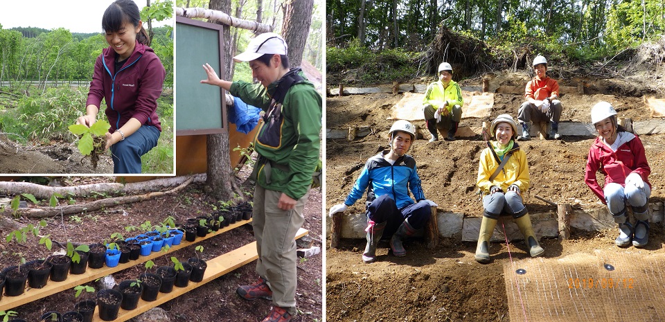 2018年北海道胆振東部地震後の森林再生活動。（左）森林から採集した種や苗を育てる様子。（右）森林再生活動をおこなう農学部実習生（提供：森本淳子 准教授）